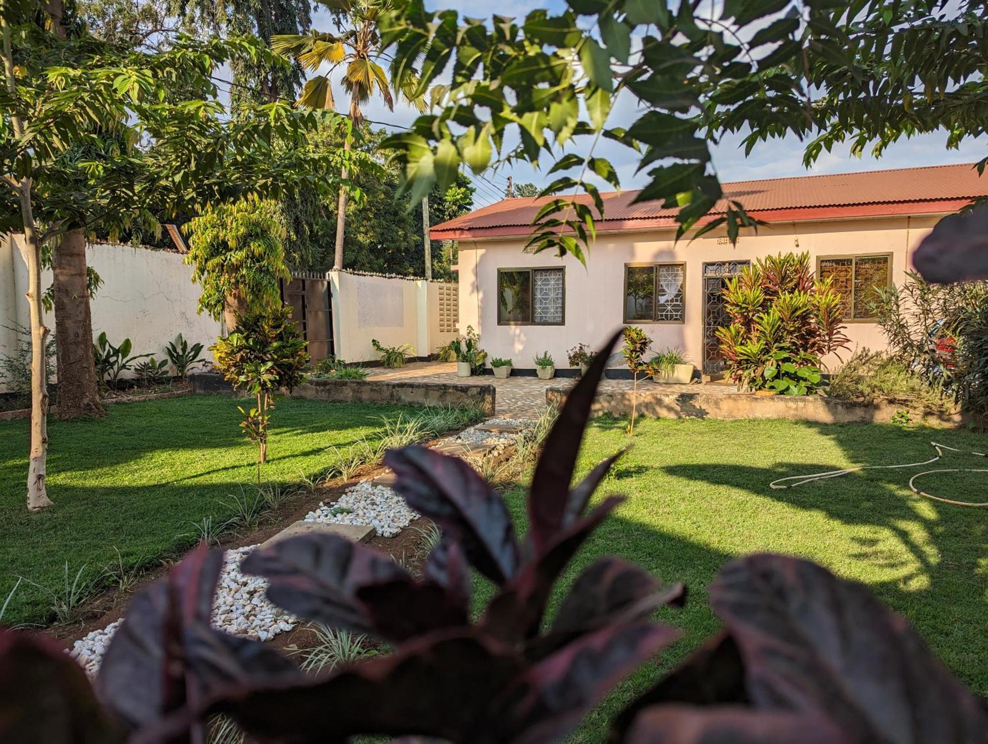 The Lion King Homestay Moshi Ngoại thất bức ảnh
